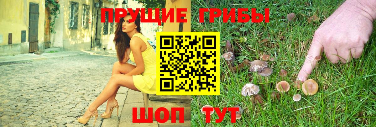 Псилоцибиновые грибы Magic Shrooms Тайшет