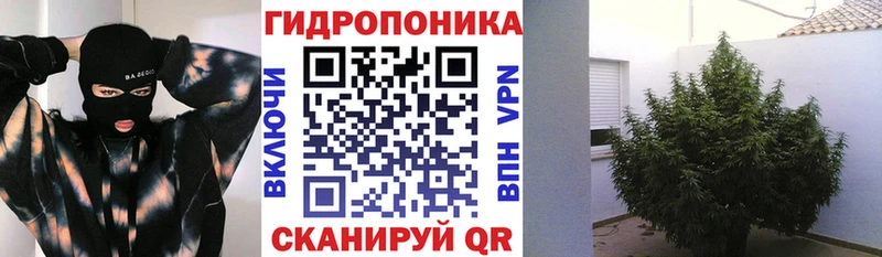 Канабис планчик  Тайшет 